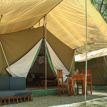 מלון Ella Glamping מראה חיצוני תמונה