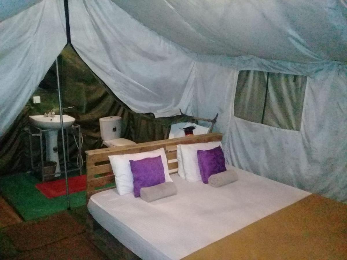 מלון Ella Glamping מראה חיצוני תמונה