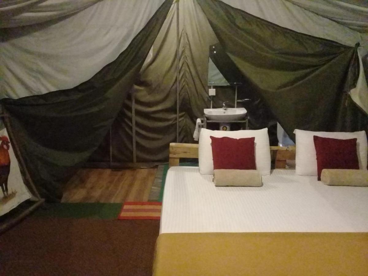 מלון Ella Glamping מראה חיצוני תמונה