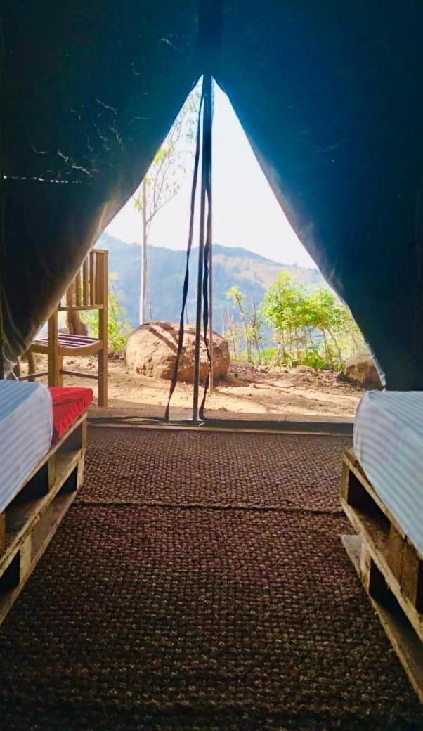 מלון Ella Glamping מראה חיצוני תמונה