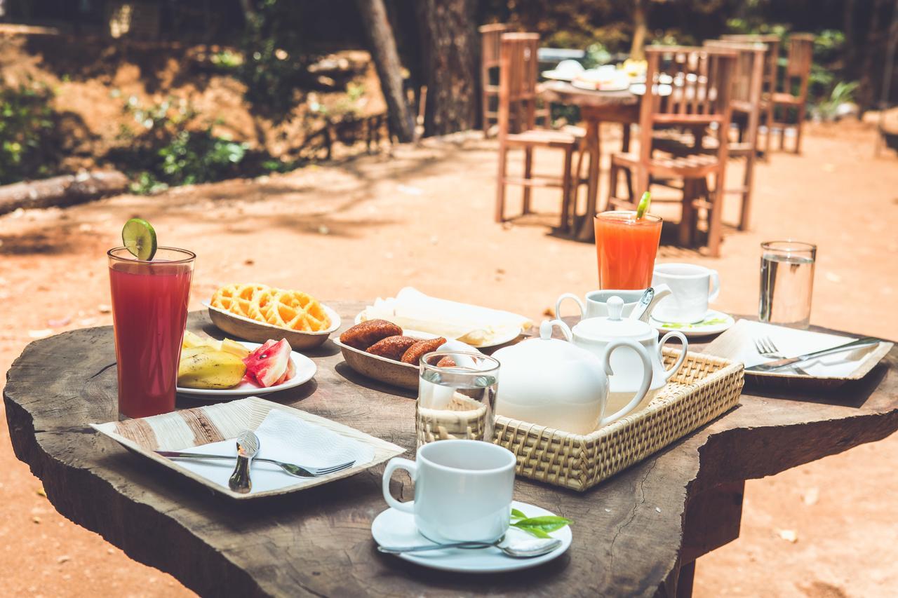 מלון Ella Glamping מראה חיצוני תמונה