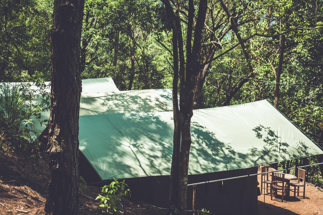מלון Ella Glamping מראה חיצוני תמונה