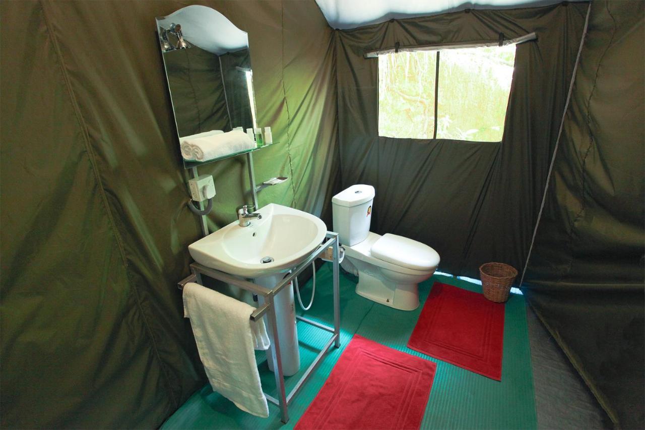 מלון Ella Glamping מראה חיצוני תמונה