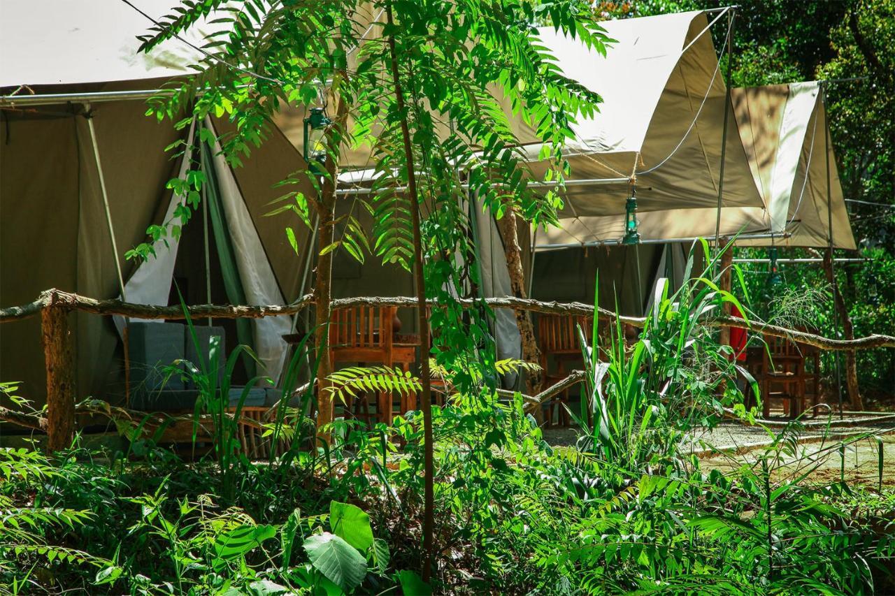 מלון Ella Glamping מראה חיצוני תמונה