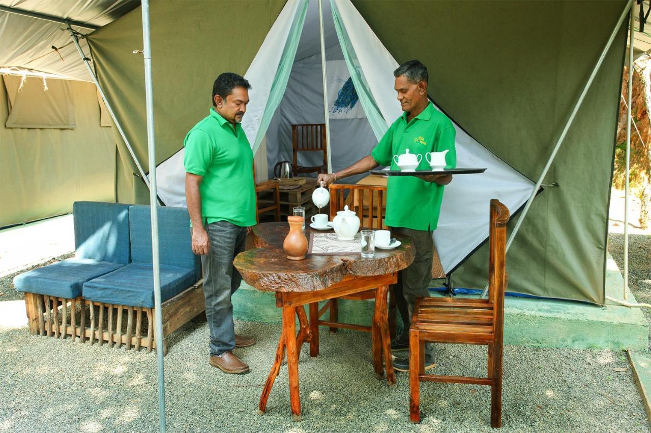 מלון Ella Glamping מראה חיצוני תמונה