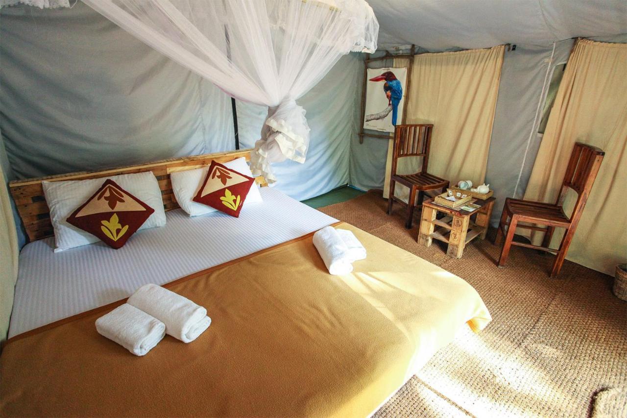 מלון Ella Glamping מראה חיצוני תמונה